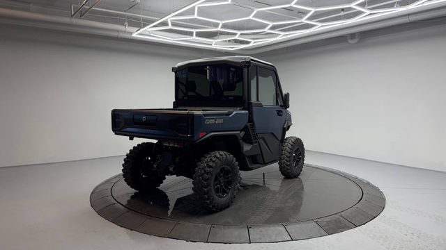 Can-Am Defender LIMITED CAB HD11 — фото 9 из 14