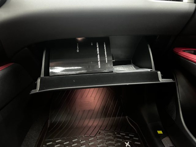 Lexus RX 350 — photo 29 of 46
