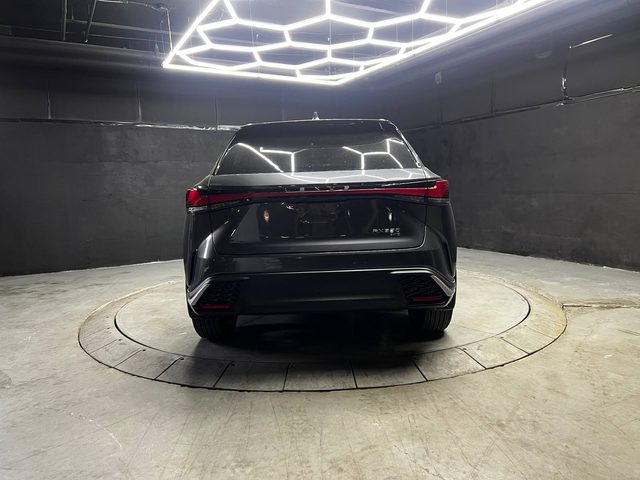 Lexus RX 350 — photo 5 of 46